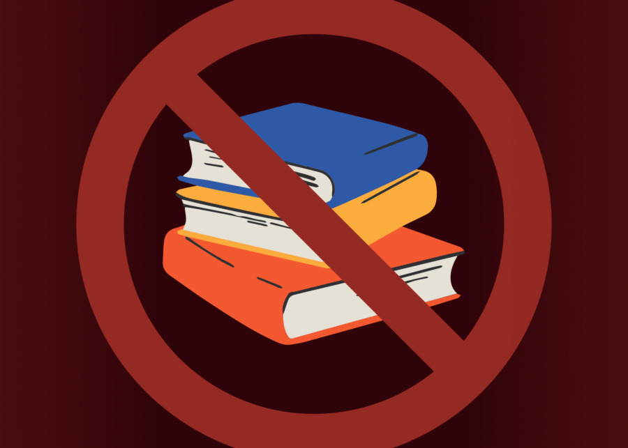 Book bans in a polarized age