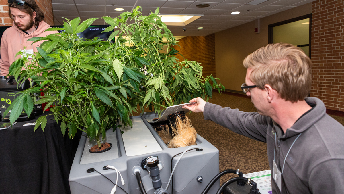 SIU cannabis symposium to focus on growing operations