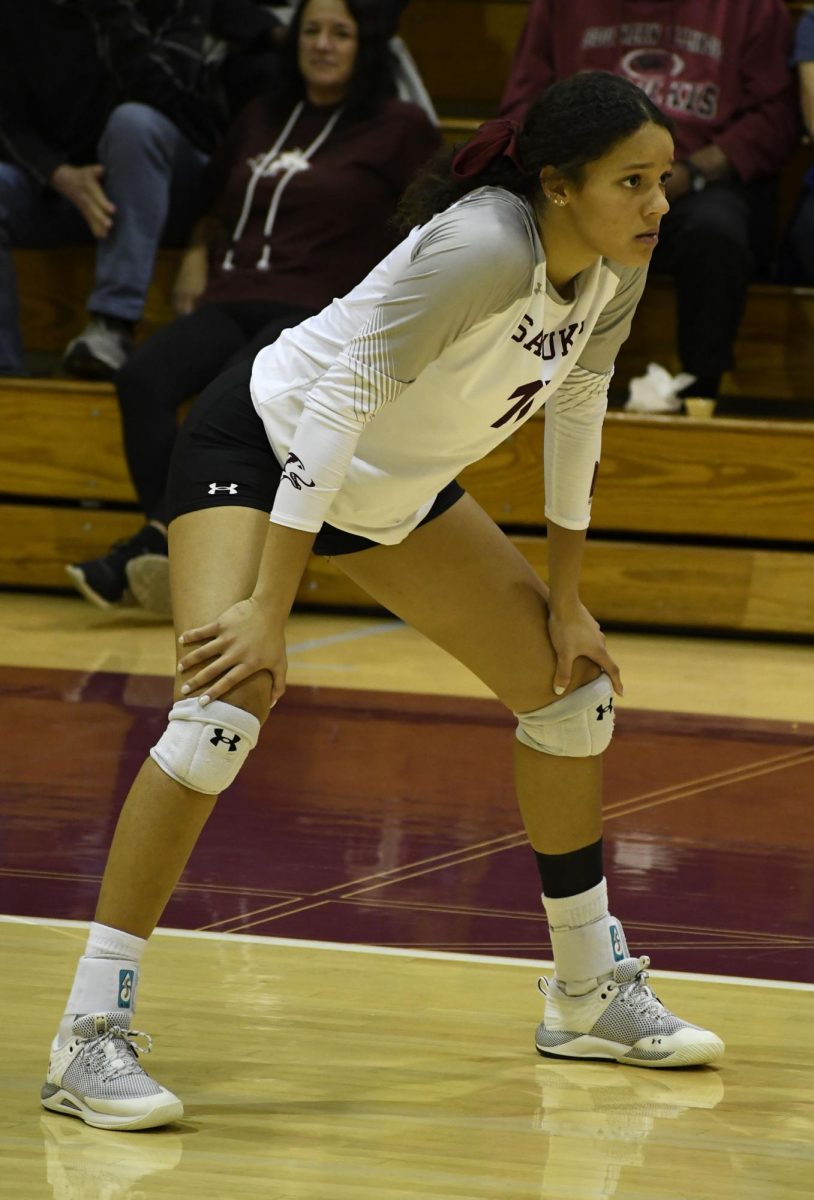 SIU Women’s Volleyball senior Nataly Garcia (17) prepares for Valparaiso University’s serve at Davies Gym in Carbondale, IL on Friday Oct. 20, 2023.