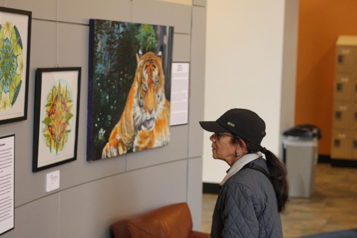 Rachel Young observes art at the Wild Things Art Show Nov. 3, 2023 at Morris Library in Carbondale, Illinois.
