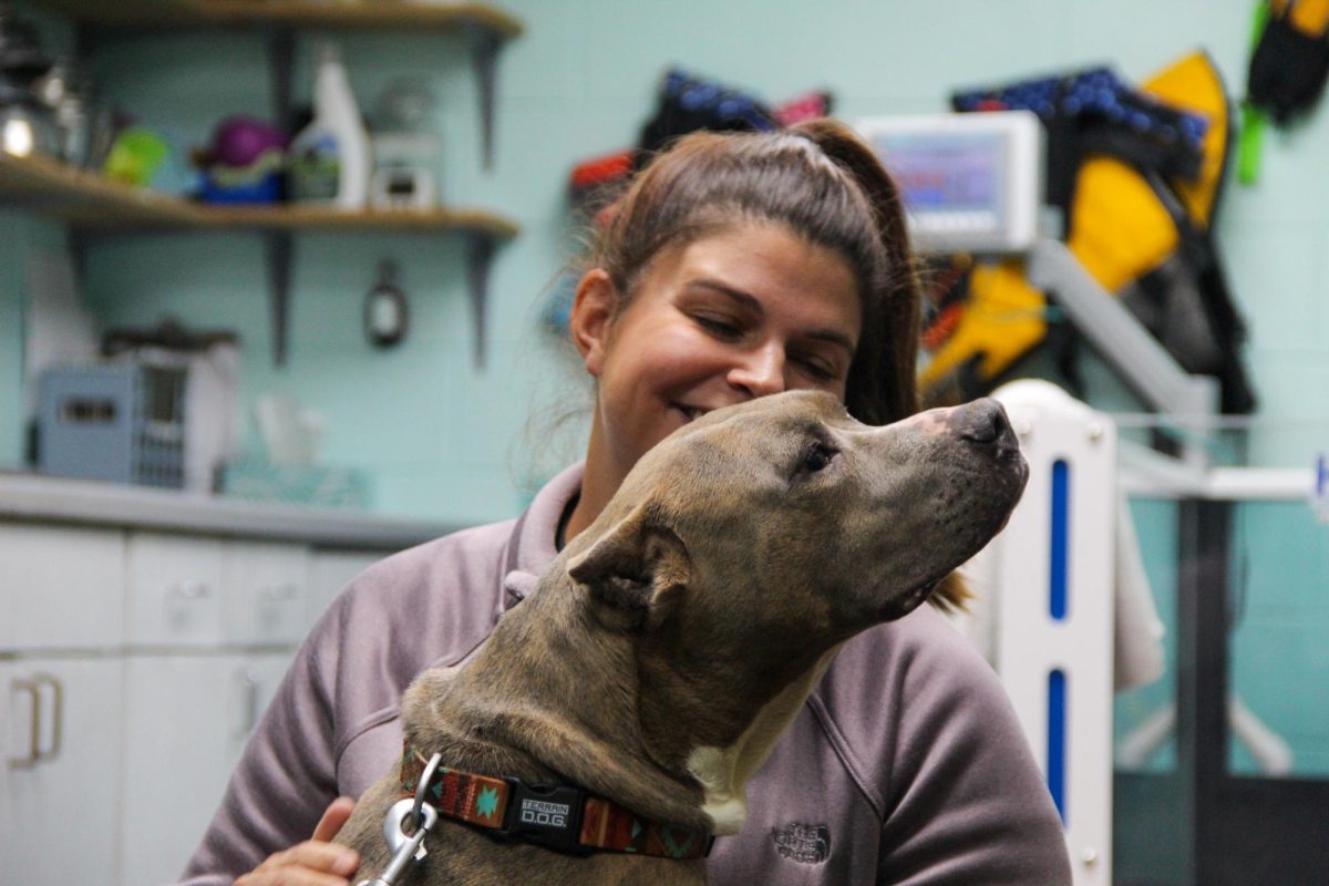 Savannah, a pitbull dumped on the doorstep one early morning, is hugged by STAAR founding member Ali Rippin Nov. 1, 2023 at Striegel Animal Hospital in Carbondale, Ill. 