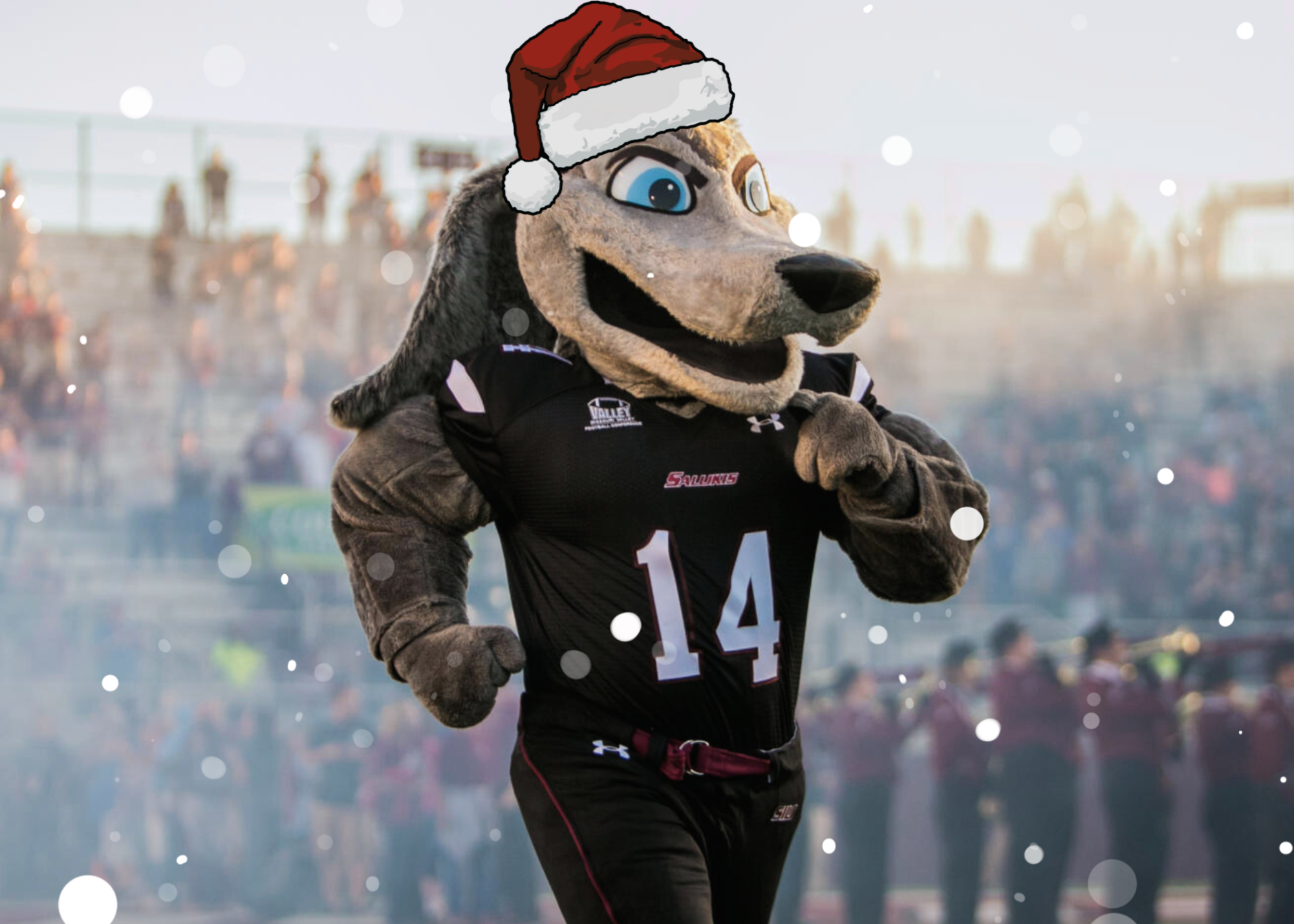 Carbondale for Christmas: How SIU athletes get to celebrate the season