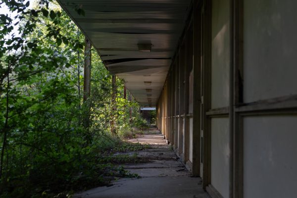 Vines and foliage creep onto the walking path of the old abandoned housing complex April 21, 2024 at Southern Hills in Carbondale, Illinois.