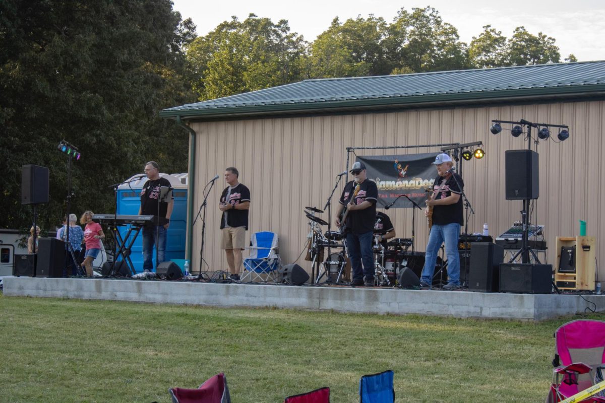 The Diamond Dog band perform at the Cobden Peach Festival.  