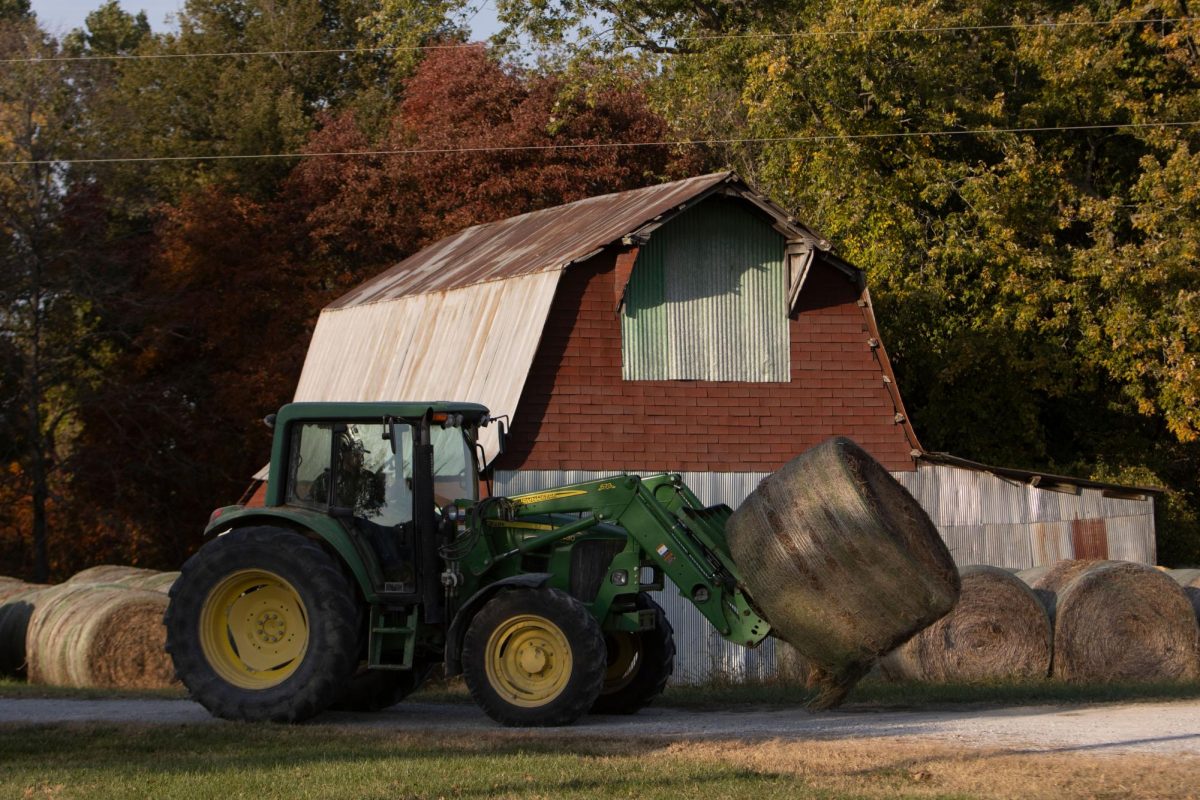 A tractor carries a hay bale in preparation for the six bulls coming to SIU Oct. 24, 2024 at the agricultural sciences department in Carbondale, Illinois.