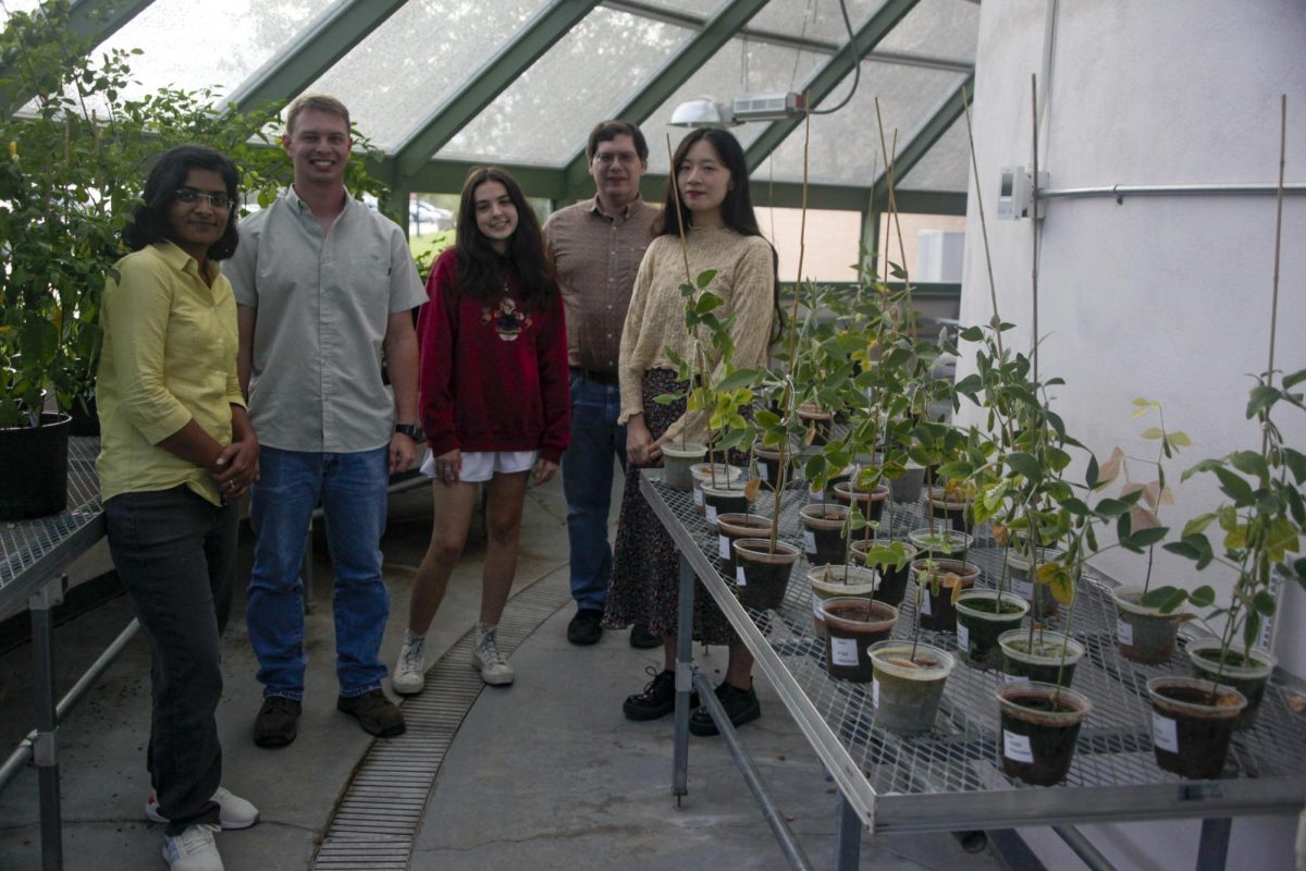 SIU research team AlgaeUnlocked stand in the Life Science III Greenhouse where their trials on soybeans growing in lunar and Mars regolith are kept Sept. 24, 2024 at Southern Illinois University in Carbondale, Illinois. Emily Brinkman 