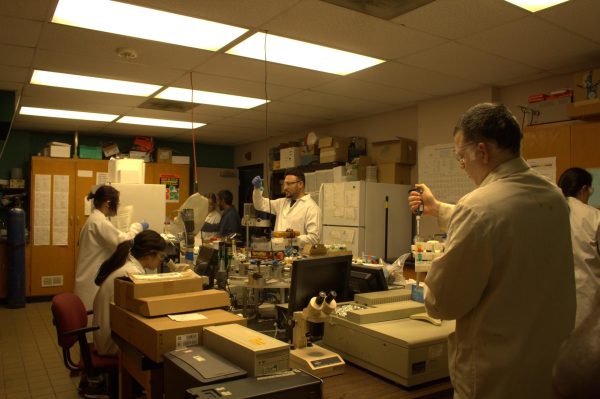 Professor Punit Kohli works at the front of the lab along with other researchers who are studying
how to kill super germs at the nano level in a lab in Neckers Hall Nov. 12, 2024 in Carbondale,
Illinois.