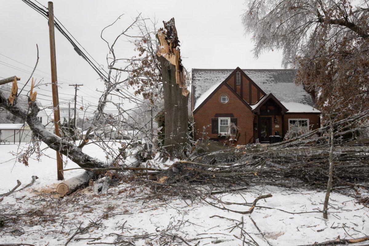 Winter storm leaves  mark in Herrin