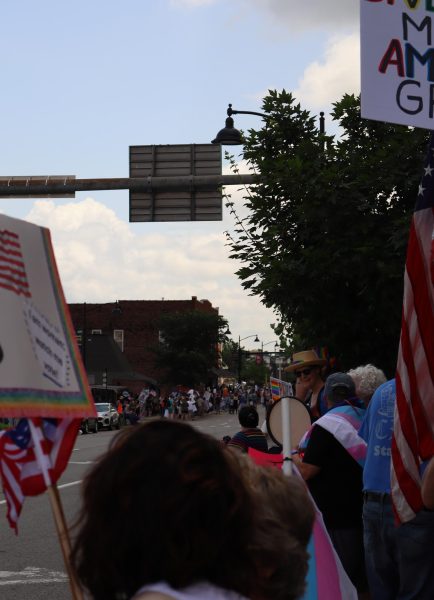 Demonstrators line the streets in celebration of Pride and in protest of President Donald Trump during last years Pride and NO KINGS protests in Carbondale. 