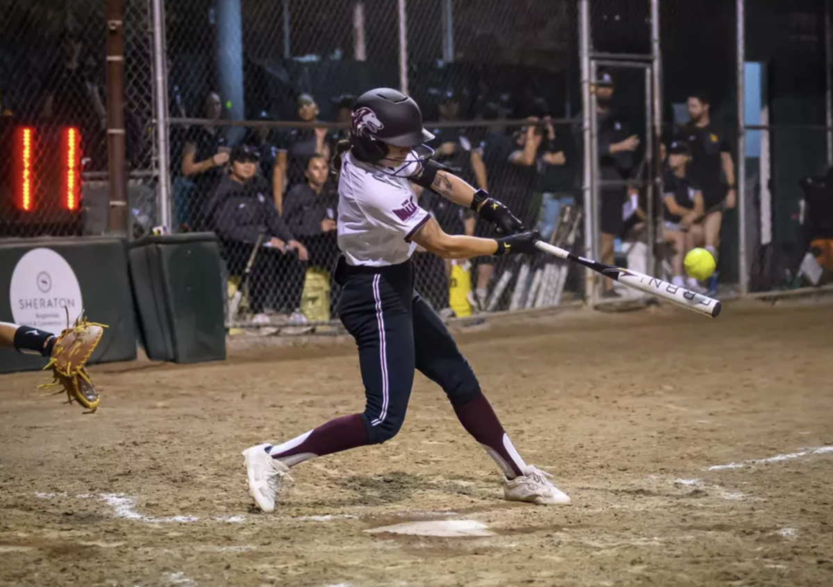 Photo provided by Saluki Athletics. 