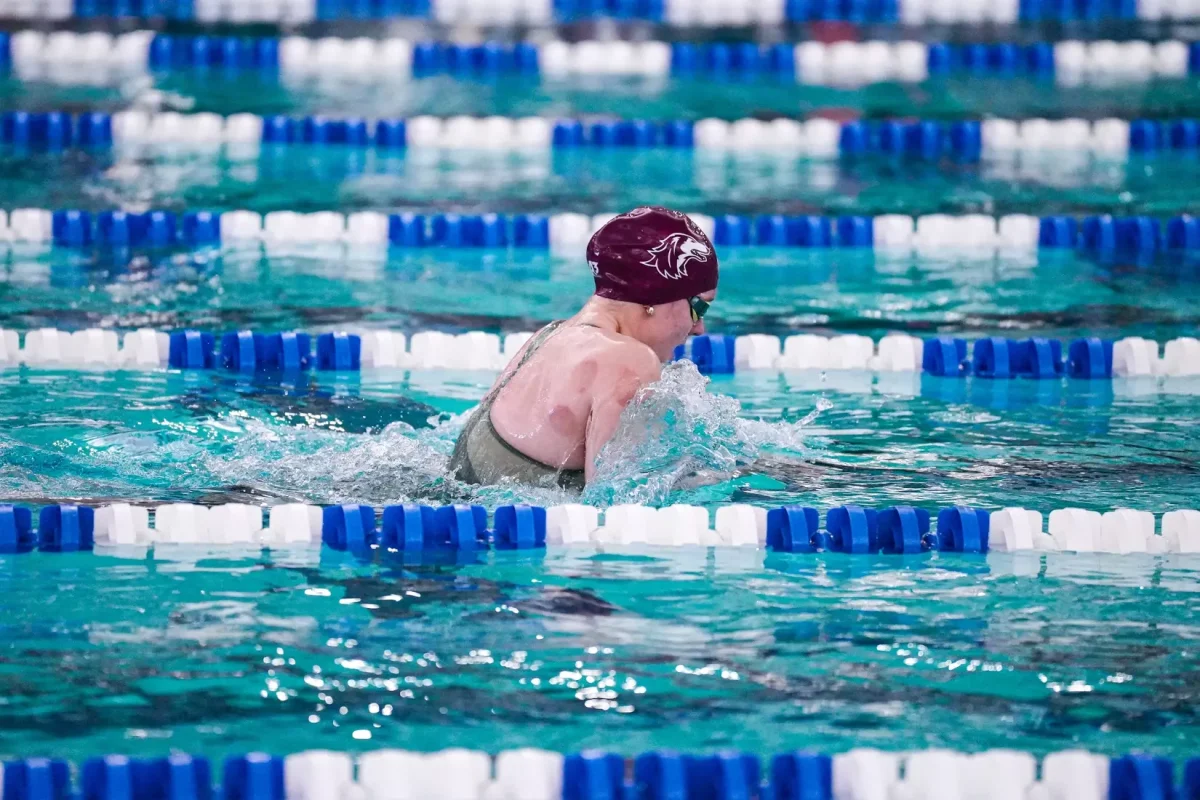 Photo provided by Saluki Athletics. 