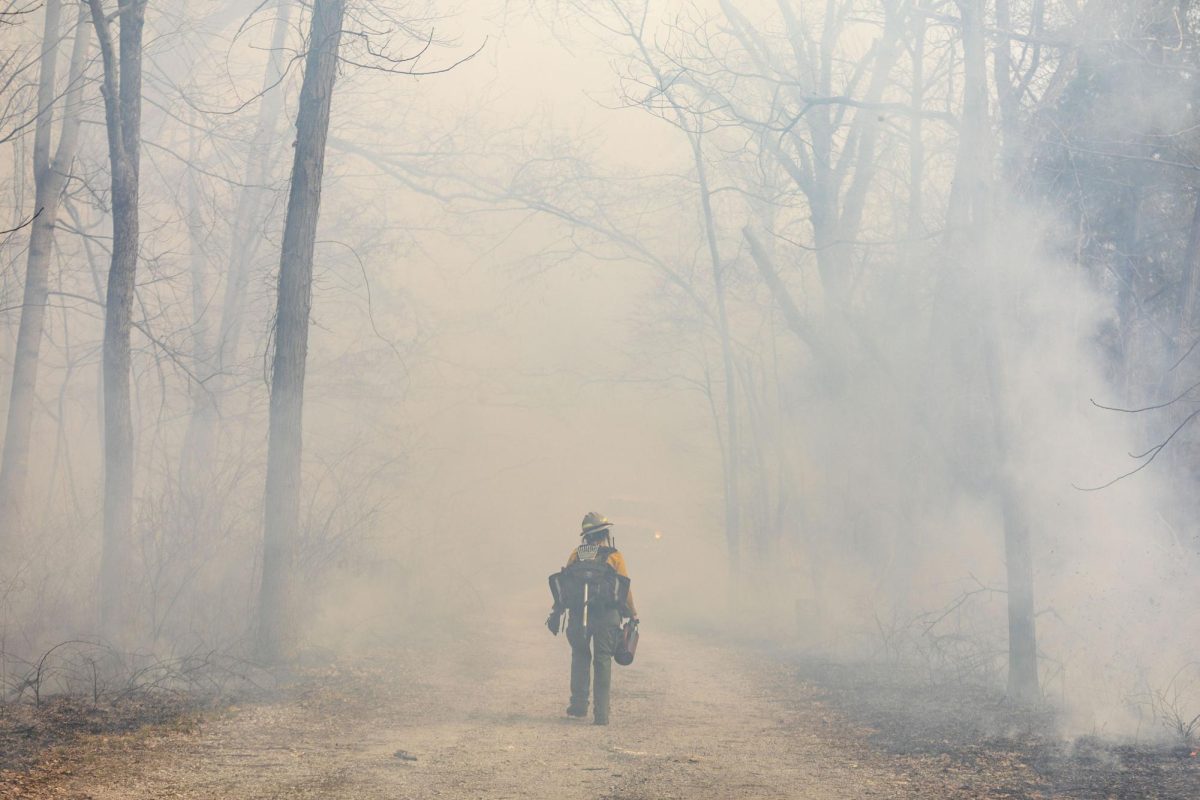 The Nature Conservancy fire fellow Piper Morris walks through a thick cloud of smoke as she and other members of TNC begin a burn unit March 25, 2026 at Giant City Lodge in Makanda, Illinois.